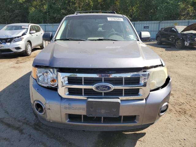 2008 Ford Escape XLT