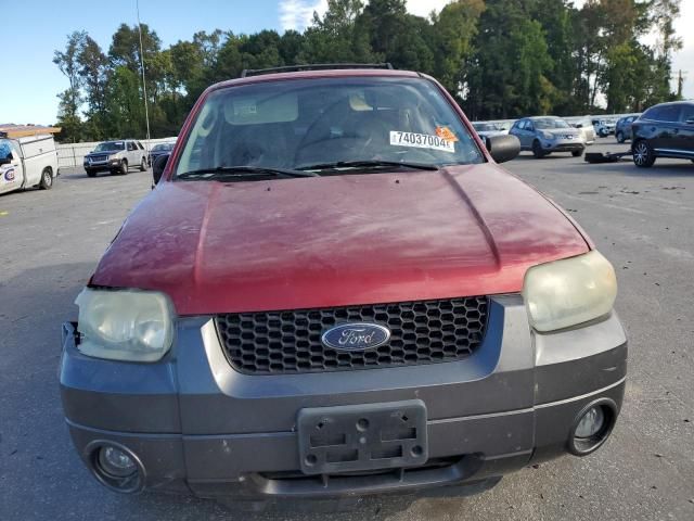 2005 Ford Escape XLT