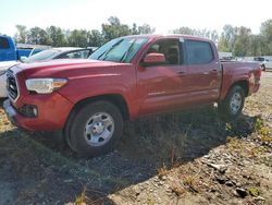 Toyota salvage cars for sale: 2019 Toyota Tacoma Double Cab