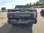 2024 Toyota Tundra Crewmax SR