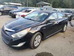 Hyundai Sonata Vehiculos salvage en venta: 2012 Hyundai Sonata Hybrid