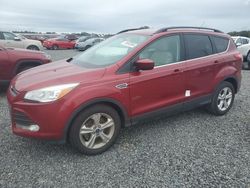 Ford salvage cars for sale: 2014 Ford Escape SE