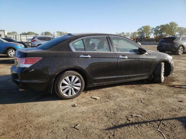 2011 Honda Accord EXL