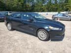 2014 Ford Fusion SE Hybrid