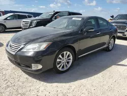 2011 Lexus ES 350 en venta en Arcadia, FL