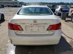 2009 Lexus ES 350