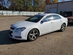 Salvage cars for sale at Ham Lake, MN auction: 2011 Chevrolet Malibu 1LT