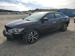 Salvage cars for sale from Copart Anderson, CA: 2016 Nissan Maxima 3.5S