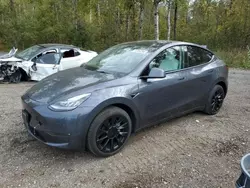 Salvage cars for sale at Cookstown, ON auction: 2023 Tesla Model Y