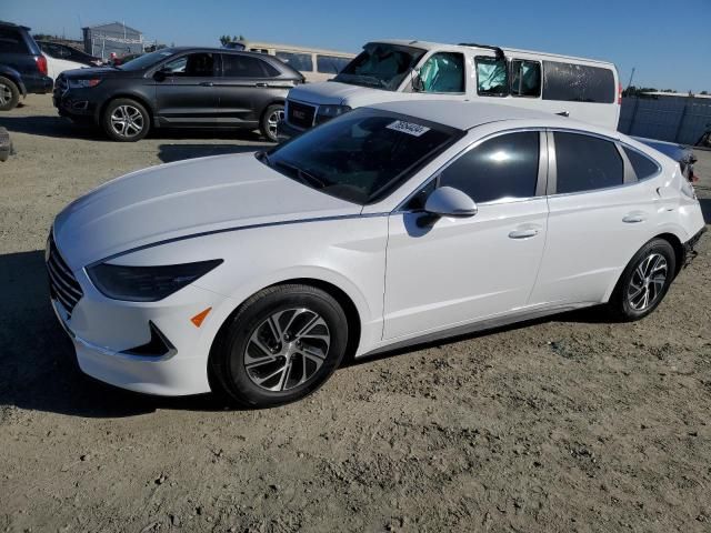 2023 Hyundai Sonata Hybrid