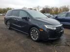 2021 Honda Odyssey EXL