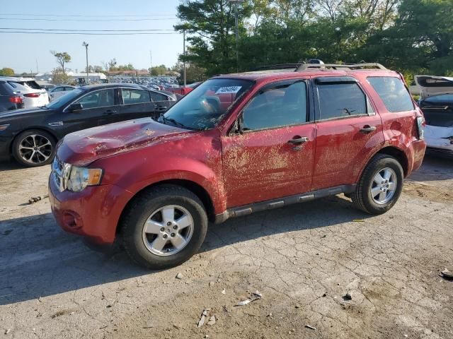 2009 Ford Escape XLT