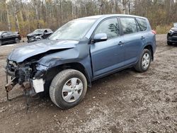 Toyota rav4 salvage cars for sale: 2011 Toyota Rav4