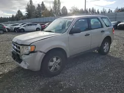 Ford Vehiculos salvage en venta: 2009 Ford Escape XLS