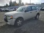 2009 Ford Escape XLS