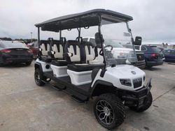 Salvage trucks for sale at Riverview, FL auction: 2025 Hdkp Golf Cart