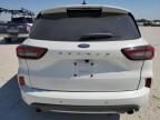 2023 Ford Escape ST Line