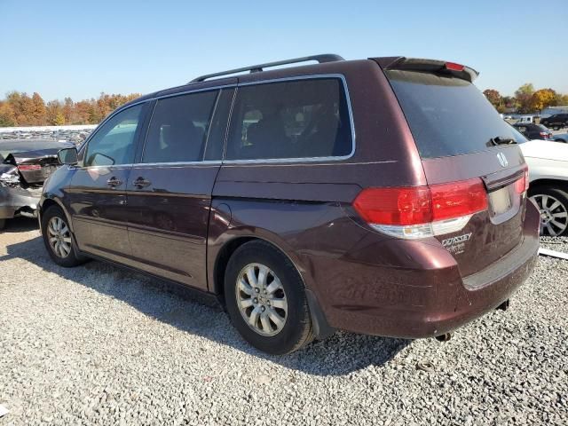 2009 Honda Odyssey EXL