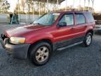 2007 Ford Escape XLT