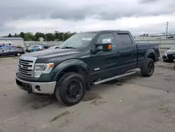 Ford salvage cars for sale: 2013 Ford F150 Supercrew