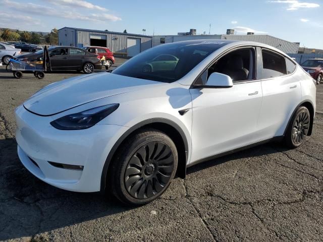 2024 Tesla Model Y