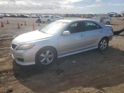 Toyota Camry Base salvage cars for sale: 2010 Toyota Camry Base