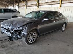 Salvage cars for sale at Phoenix, AZ auction: 2013 Honda Accord EXL