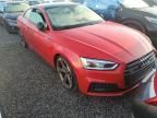 2019 Audi S5 Premium Plus