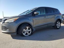 Salvage cars for sale at Orlando, FL auction: 2013 Ford Escape SE