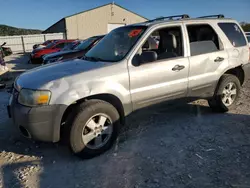 Ford Vehiculos salvage en venta: 2006 Ford Escape XLT