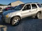 2006 Ford Escape XLT