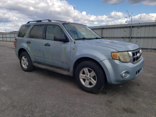 2008 Ford Escape HEV