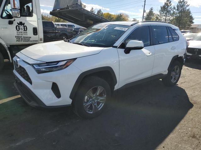 2024 Toyota Rav4 XLE