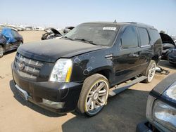 Salvage cars for sale at Brighton, CO auction: 2014 Cadillac Escalade Premium