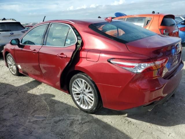 2019 Toyota Camry Hybrid