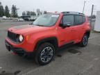 2017 Jeep Renegade Trailhawk