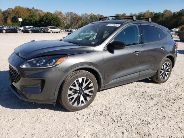 2020 Ford Escape SE Sport