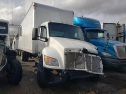 Salvage trucks for sale at Dyer, IN auction: 2023 Peterbilt 536