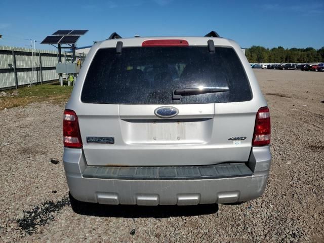 2008 Ford Escape XLT