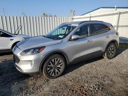 Salvage cars for sale at Albany, NY auction: 2020 Ford Escape SEL