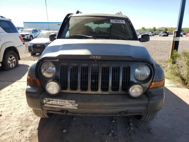 2006 Jeep Liberty Renegade