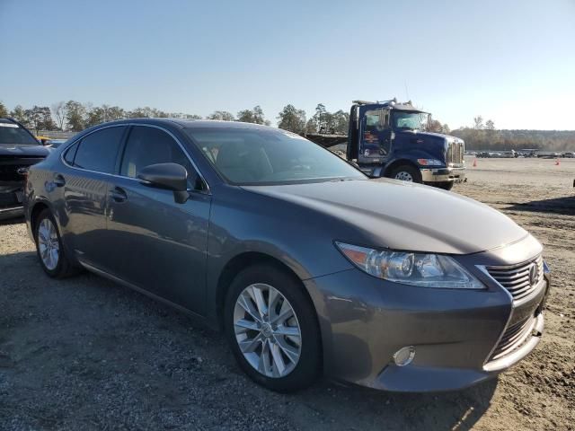 2013 Lexus ES 300H