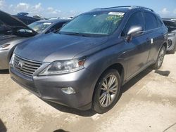 Lexus Vehiculos salvage en venta: 2014 Lexus RX 350