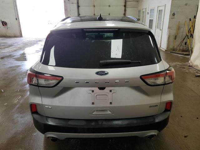 2020 Ford Escape SE Sport