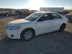 Salvage cars for sale at Houston, TX auction: 2010 Toyota Camry Base