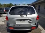 2006 Hyundai Santa FE GLS