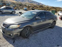 Salvage cars for sale from Copart Reno, NV: 2010 Toyota Camry Base