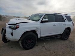 Toyota 4runner salvage cars for sale: 2024 Toyota 4runner SR5 Premium