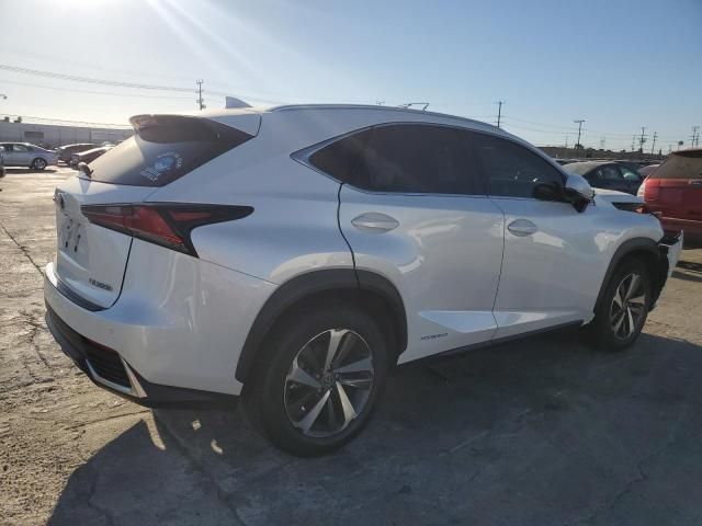 2019 Lexus NX 300H