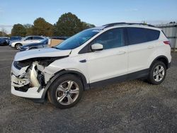 SUV salvage a la venta en subasta: 2014 Ford Escape SE